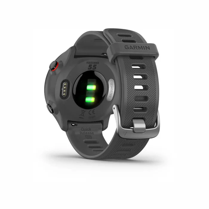 Viedpulksteņi Garmin Forerunner 55 Monterra Grey