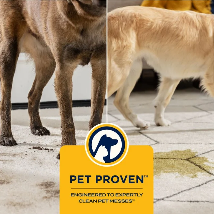 Bissell SpotClean C9 Select 3989N