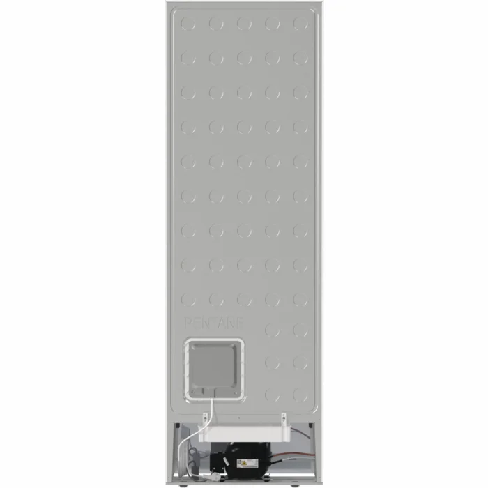 Gorenje FN619EAW6