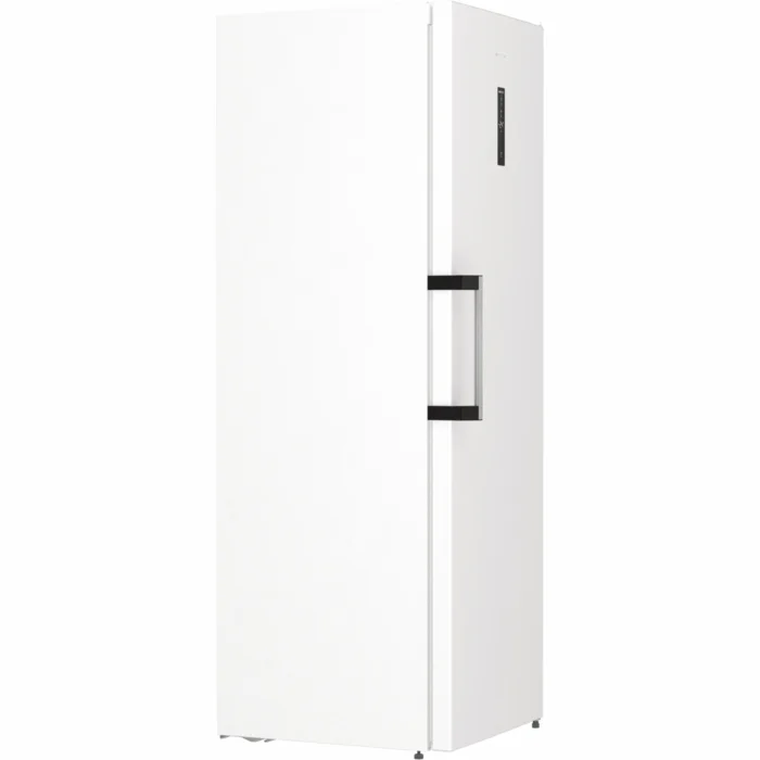Gorenje FN619EAW6