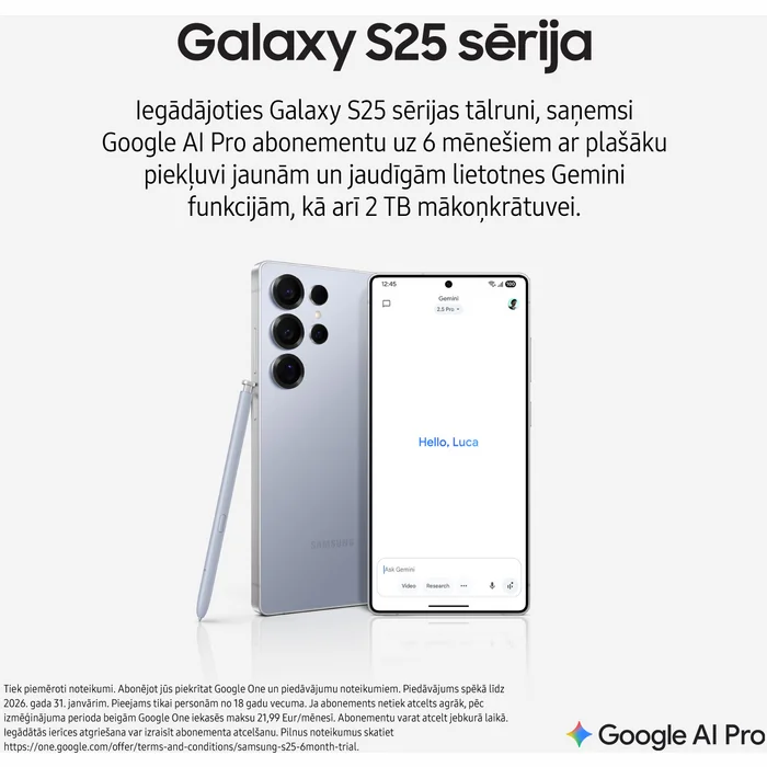Samsung Galaxy S25+ 12+512 GB Silver Shadow