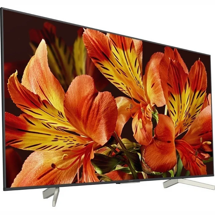 Televizori Sony KD75XF8596BAEP