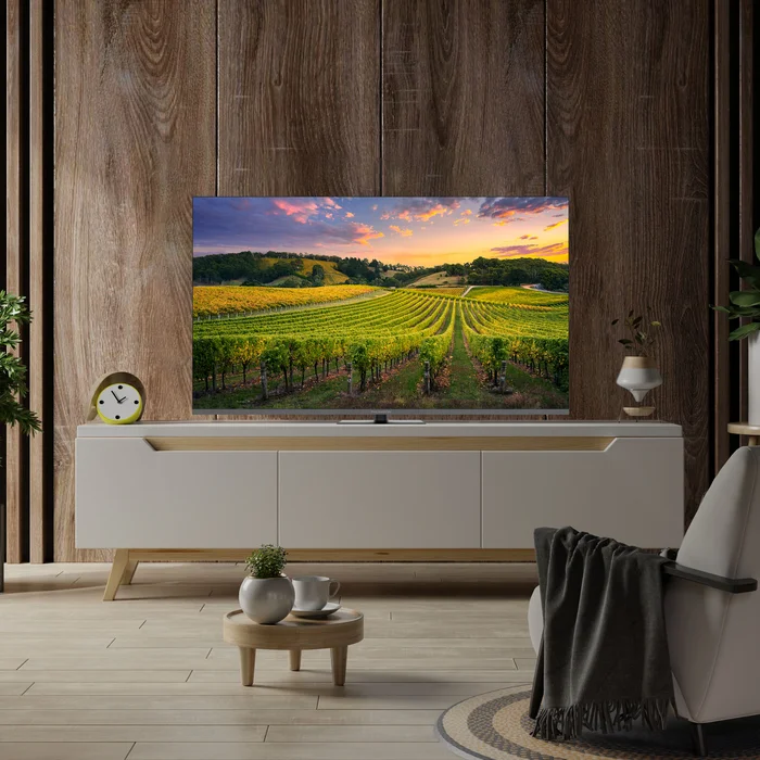 Thomson 55" UHD QLED Google TV 55QG5C14