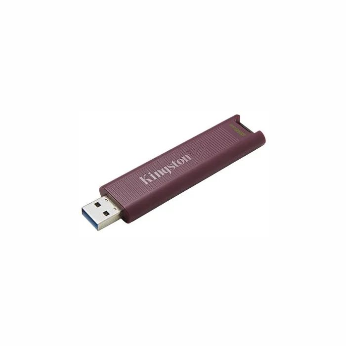 USB zibatmiņa Kingston DataTraveler  Max 256GB