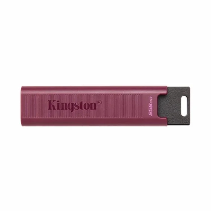 USB zibatmiņa Kingston DataTraveler  Max 256GB
