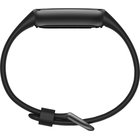 Fitbit Luxe Black / Graphite Stainless Steel