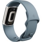 Fitbit Charge 5 Steel Blue / Platinum Stainless Steel