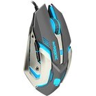 Fury Mouse Warrior
