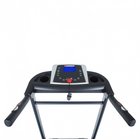 Hammer 2000M Race Runner