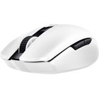 Компьютерная мышь Razer Orochi V2 White