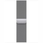 Apple Watch Series 7 GPS + Cellular 41mm Silver Stainless Steel Case with Silver Milanese Loop
