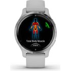 Viedpulkstenis Garmin Venu 2S Mist Grey/Passivated