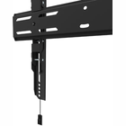 Newstar WL30S-850BL14 32"-65"