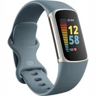 Fitnesa aproce Fitbit Charge 5 Steel Blue / Platinum Stainless Steel [Mazlietots]