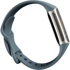 Fitnesa aproce Fitbit Charge 5 Steel Blue / Platinum Stainless Steel