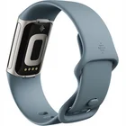 Fitnesa aproce Fitbit Charge 5 Steel Blue / Platinum Stainless Steel [Mazlietots]