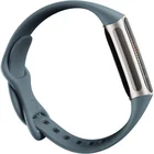 Fitnesa aproce Fitbit Charge 5 Steel Blue / Platinum Stainless Steel [Mazlietots]