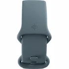 Fitnesa aproce Fitbit Charge 5 Steel Blue / Platinum Stainless Steel [Mazlietots]