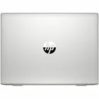 Portatīvais dators HP ProBook 445 G7 14" Pike Silver 2D276EA#B1R