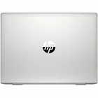 Portatīvais dators HP ProBook 455 G7 15.6" 1L3U0EA#B1R