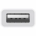 Apple USB-C to USB Adapter White