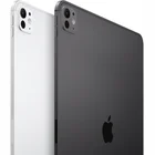 Planšetdators Apple iPad Pro 11" (M4) Wi-Fi 256GB with Standard glass Silver