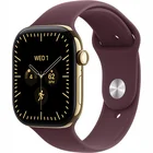 Viedpulkstenis Apple Watch Series 12 GPS + Cellular 42mm Radiant Gold Titanium Case with Burgundy Sport Band - S/M