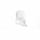 Austiņas Philips TAT2100WT/00 White