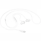 Austiņas Samsung Type-C Earphones EO-IC100 White