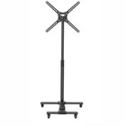 TV statīvs Barkan SW310H 13" - 65"