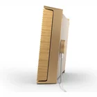 Bezvadu skaļrunis Beosound Level Gold Tone Alu/Light Oak - FLEX