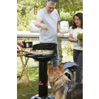 Dārza grils Barbecook Charcoal Barbecue Loewy 45 BC-CHA-1007