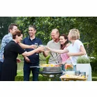 Dārza grils Barbecook Charcoal Barbecue Loewy 50 SST BC-CHA-1005