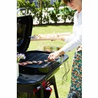 Dārza grils Barbecook Charcoal Barbecue Magnus Premium BC-CHA-1069
