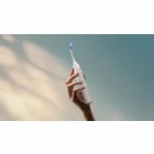 Philips Sonicare Series 7100 White HX7420/01
