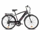 Elektriskais velosipēds Esperia Bourget 22E230 Grey Matte 28"