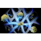 Gaisa attīrītājs Dyson HushJet Purifier Compact HJ10 White/Silver 491355-01