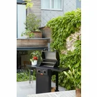Dārza grils Barbecook Electric Barbecue E-Luca BC-ELE-3000