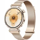 Viedpulkstenis Huawei Watch GT6 41mm Gold Stainless Steel Case with Gold Milanese Strap