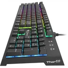Klaviatūra Genesis Thor 210 RGB ENG