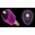 Matu veidotājs Dyson HB01-A Airsmooth Styling Brush Ceramic pink / Rose gold 493078-01