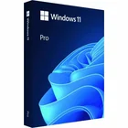 Microsoft Windows 11 Pro HAV-00163 FPP 1 License USB Flash Drive 64-bit ENG