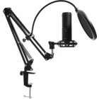 Mikrofons Lorgar Voicer 931 LRG-CMT931