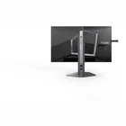Monitors AOC Agon AG256FS 24.5"