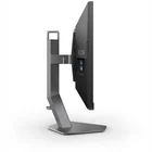 Monitors AOC Agon AG256FS 24.5"
