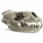 Original Prusa MK4S 3D Printeris (Izjaukts ar MMU3 sistēmu un korpusu)