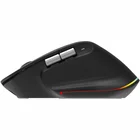 Datorpele Acer Easy Fit wireless Black