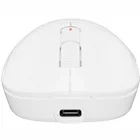 Datorpele Fury Tanto T4 Wired/Wireless White