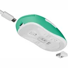 Datorpele Fury Tanto T4 Wired/Wireless Mint