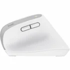 Datorpele Trust Bayo+ Multidevice Ergonomic Wireless Mouse - White 25399